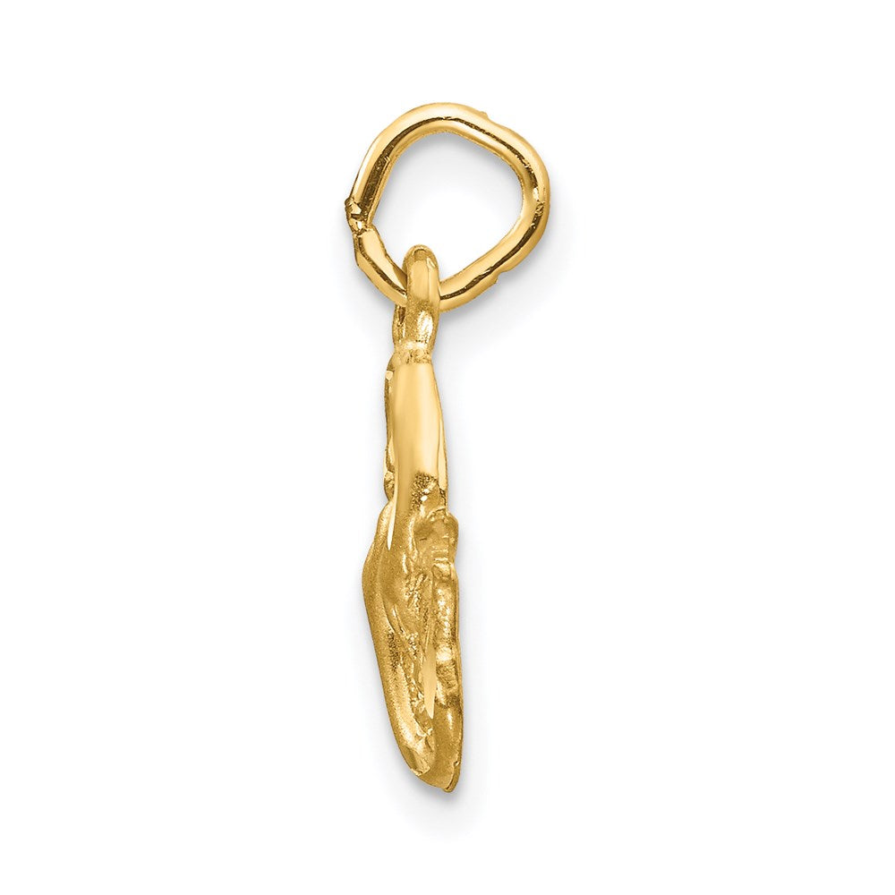 Alternate view of the 14k Yellow Gold Pisces the Fish Zodiac Satin and Diamond Cut Charm by The Black Bow Jewelry Co.