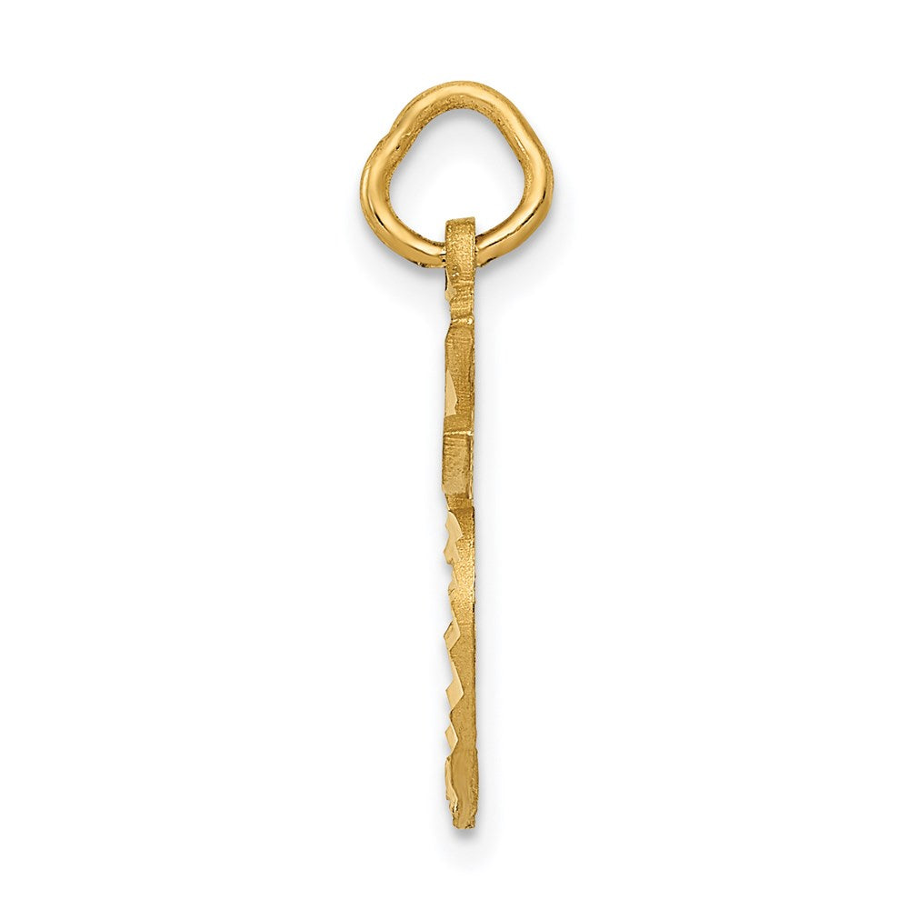 Alternate view of the 14k Yellow Gold Diamond Cut Apple Silhouette Charm by The Black Bow Jewelry Co.