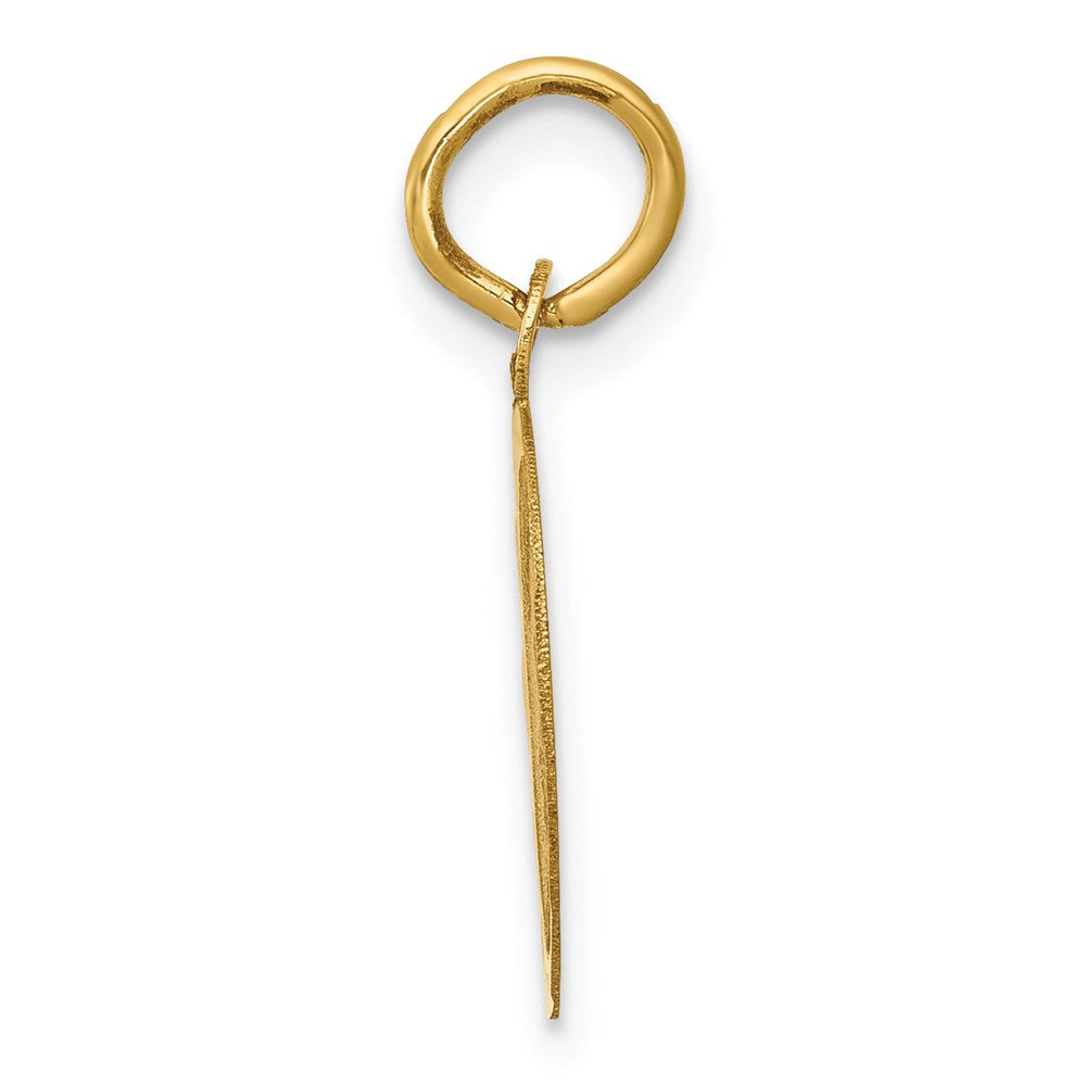 Alternate view of the 14k Yellow Gold Graduation Day Brocaded Disc Charm, 13mm by The Black Bow Jewelry Co.