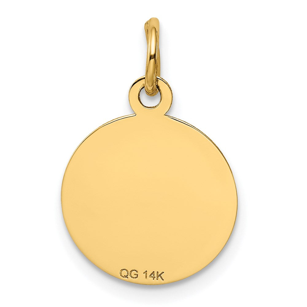 Alternate view of the 14k Yellow Gold Graduation Day Brocaded Disc Charm, 13mm by The Black Bow Jewelry Co.