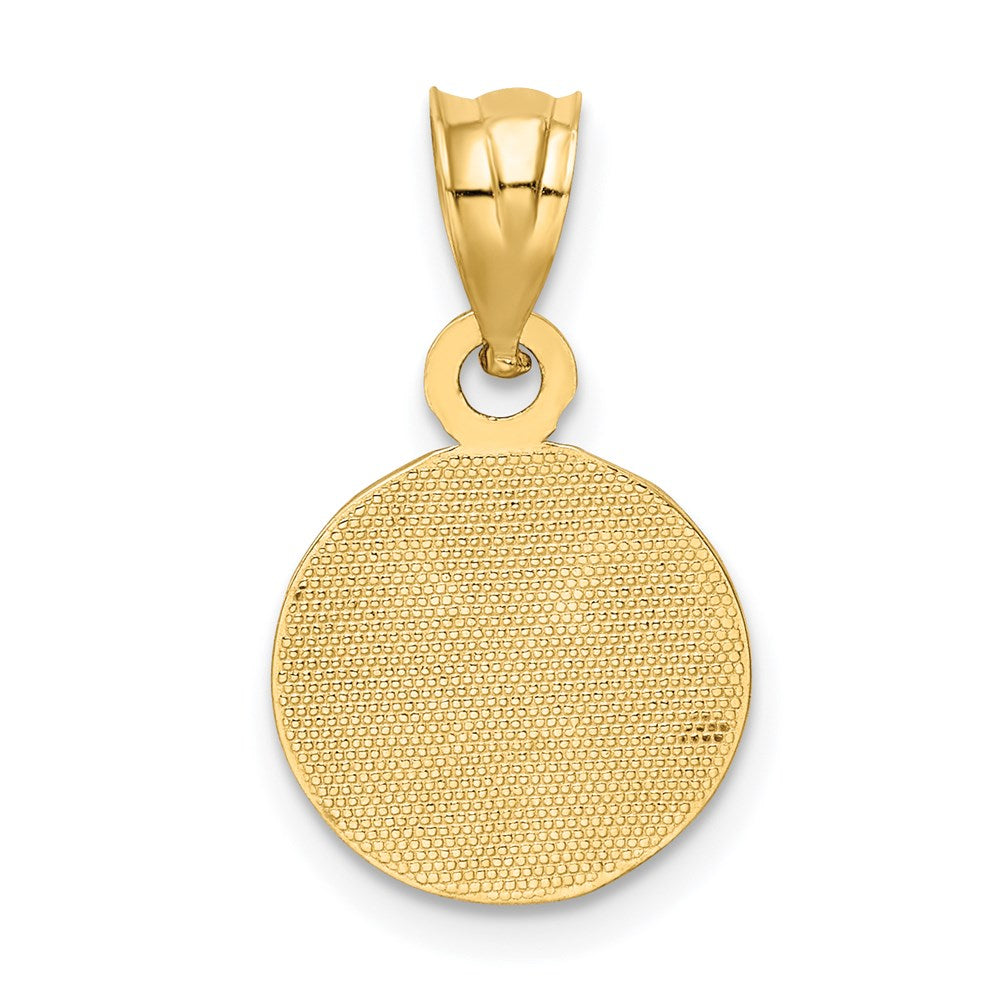 Alternate view of the 14k Yellow Gold & Enamel, Black & White Flat Soccer Ball Pendant, 12mm by The Black Bow Jewelry Co.