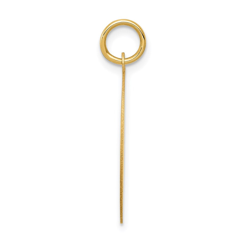 Alternate view of the 14k Yellow Gold Wrestling Disc Pendant, 19mm by The Black Bow Jewelry Co.