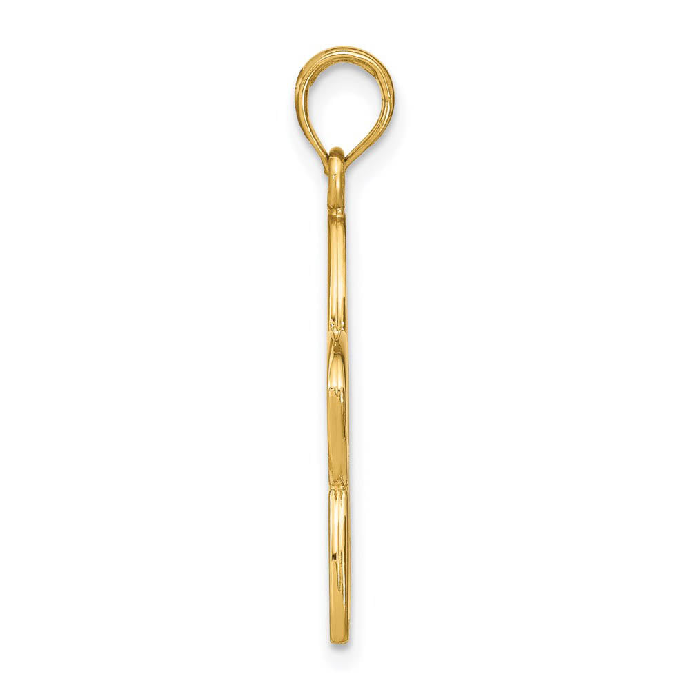 Alternate view of the 14k Yellow Gold 22mm Plumeria Silhouette Pendant by The Black Bow Jewelry Co.