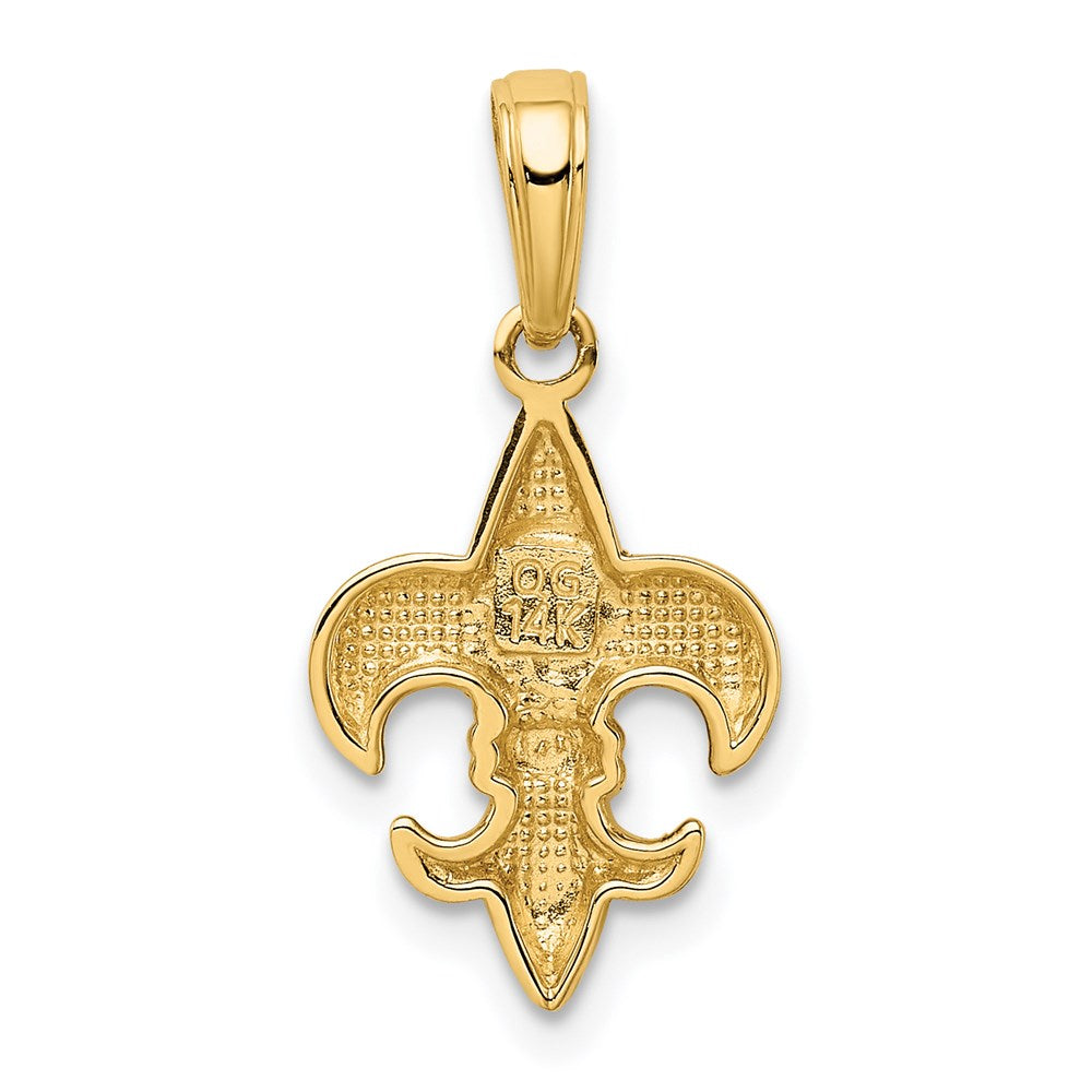 Alternate view of the 14k Yellow Gold Small Polished Fleur De Lis Pendant by The Black Bow Jewelry Co.