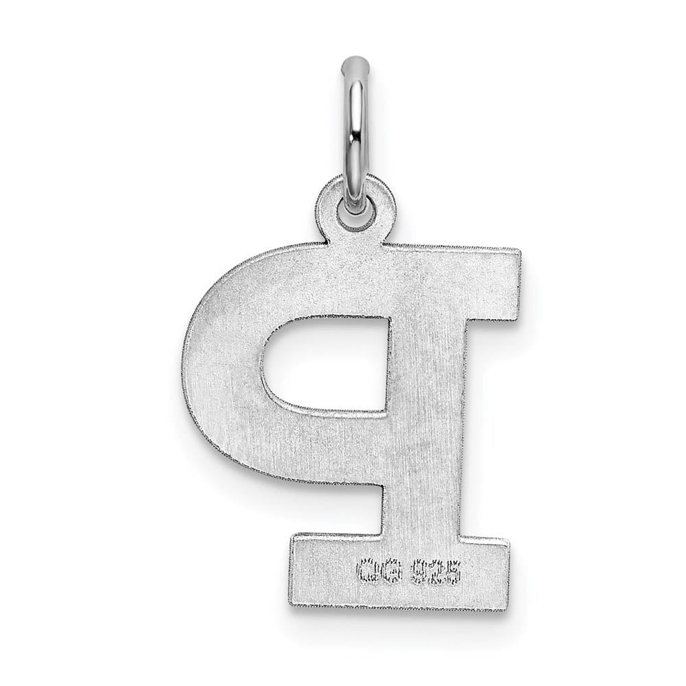 Alternate view of the Sterling Silver Amanda Collection Medium Block Style Initial P Pendant by The Black Bow Jewelry Co.