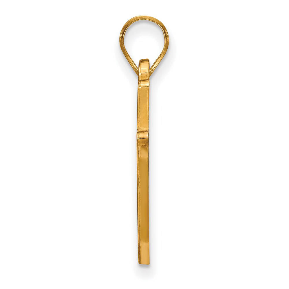 Alternate view of the 10k Yellow Gold Southern U. Large Pendant by The Black Bow Jewelry Co.