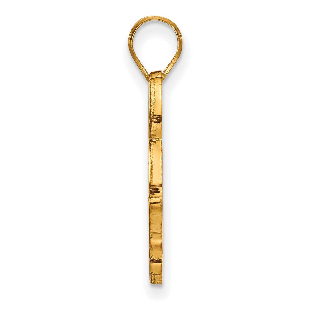 Alternate view of the 10k Yellow Gold Arkansas State Large Mascot Pendant by The Black Bow Jewelry Co.