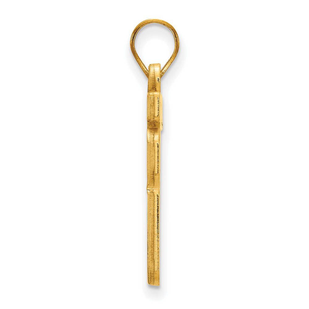 Alternate view of the 14k Yellow Gold Southern Illinois University Large Pendant by The Black Bow Jewelry Co.