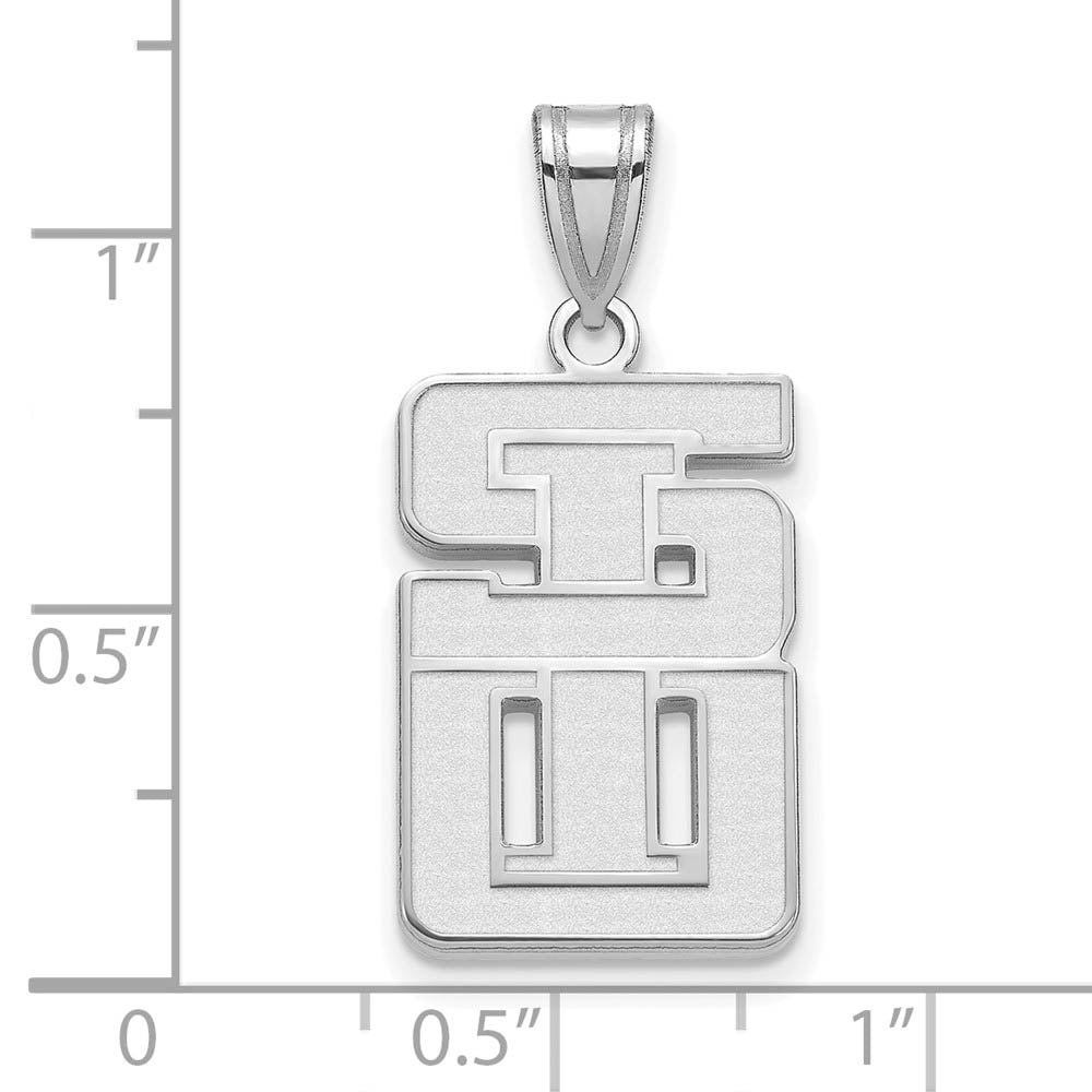 Alternate view of the Sterling Silver Southern Illinois U. Large Pendant Necklace by The Black Bow Jewelry Co.