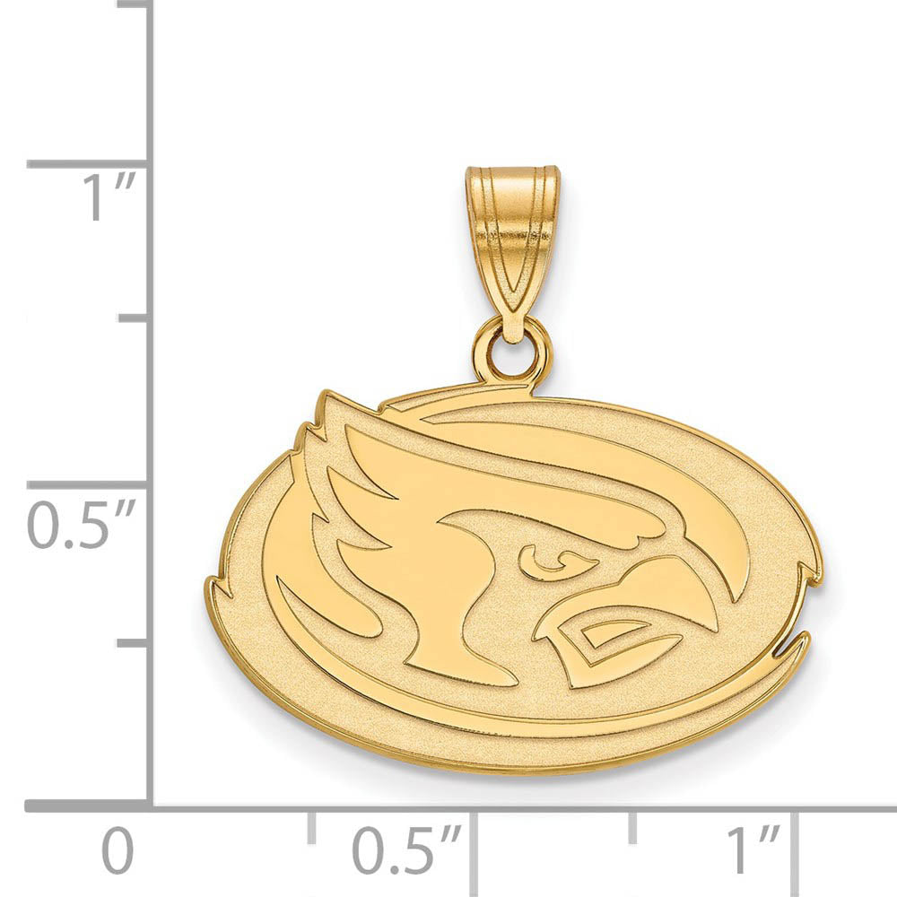 Alternate view of the 10k Yellow Gold Iowa State Medium Pendant by The Black Bow Jewelry Co.