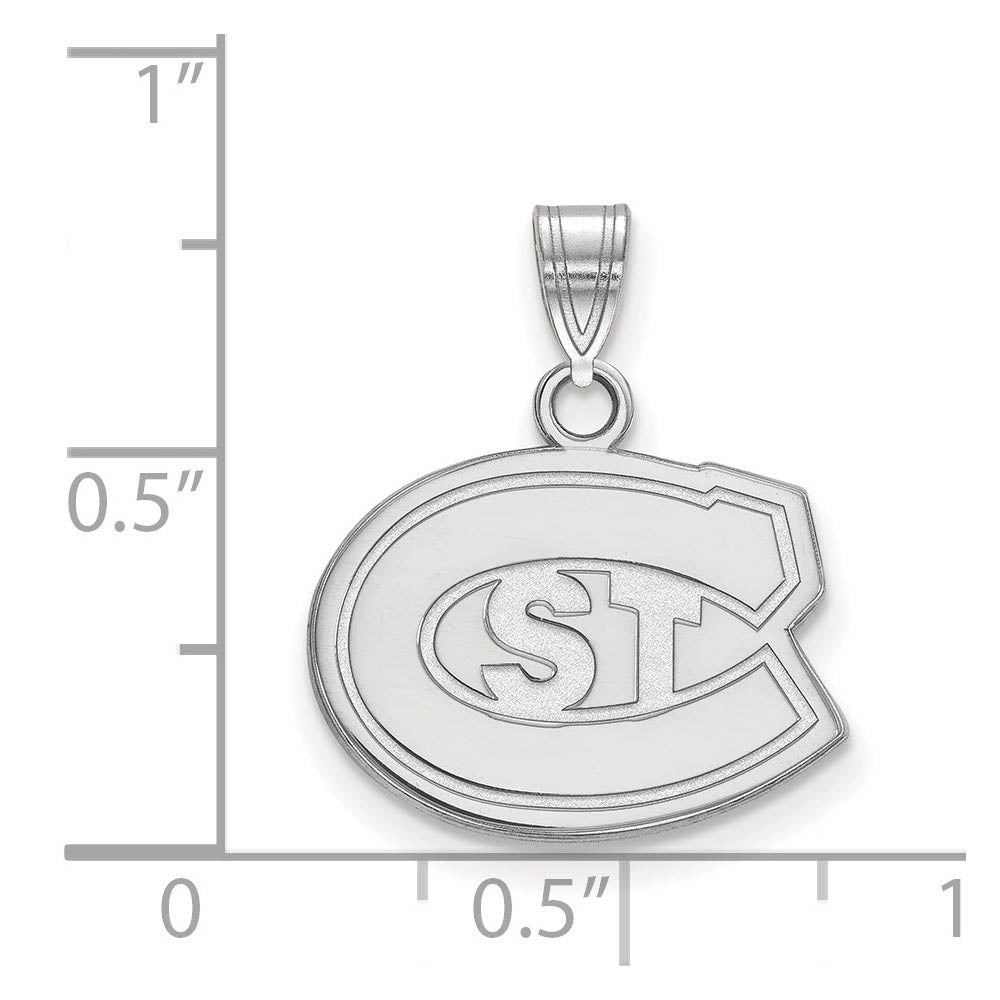 Alternate view of the 14k White Gold St. Cloud State Small 'STC' Pendant by The Black Bow Jewelry Co.