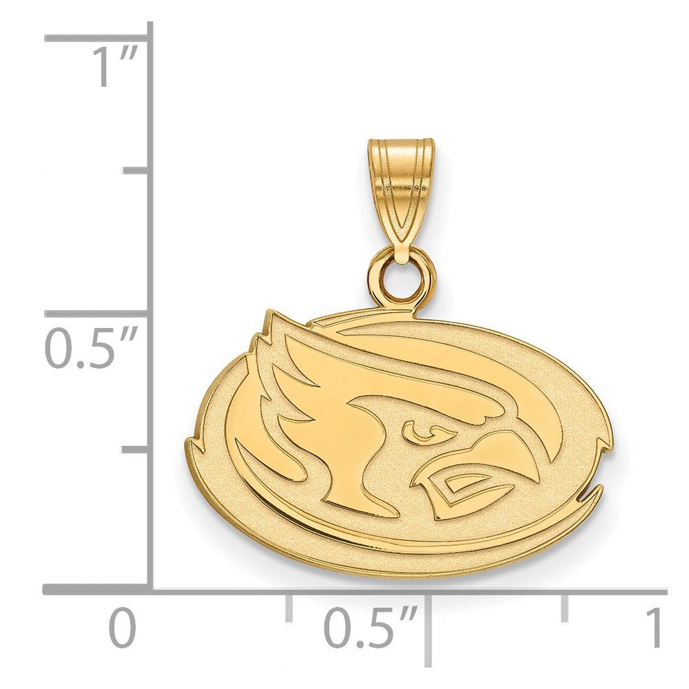 Alternate view of the 14k Yellow Gold Iowa State Small Pendant by The Black Bow Jewelry Co.