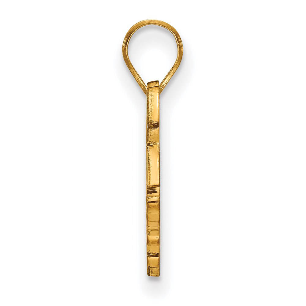 Alternate view of the 14k Gold Plated Silver Arkansas State Small Mascot Pendant by The Black Bow Jewelry Co.