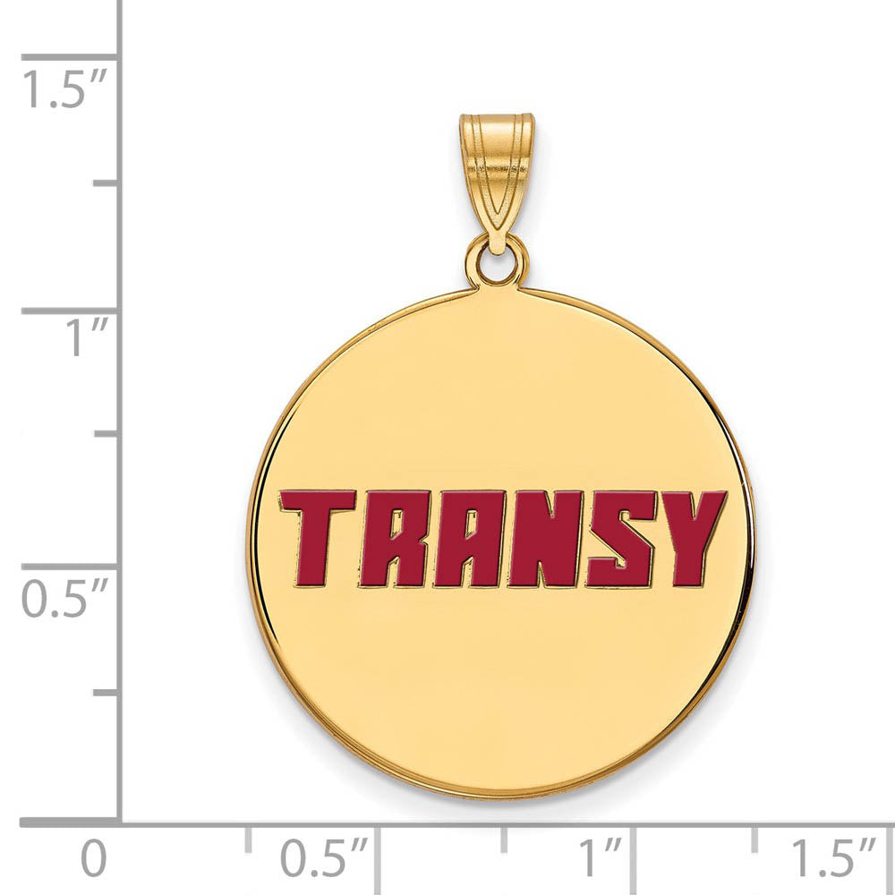 Alternate view of the 14k Gold Plated Silver Transylvania U. XL Enamel Disc Pendant by The Black Bow Jewelry Co.