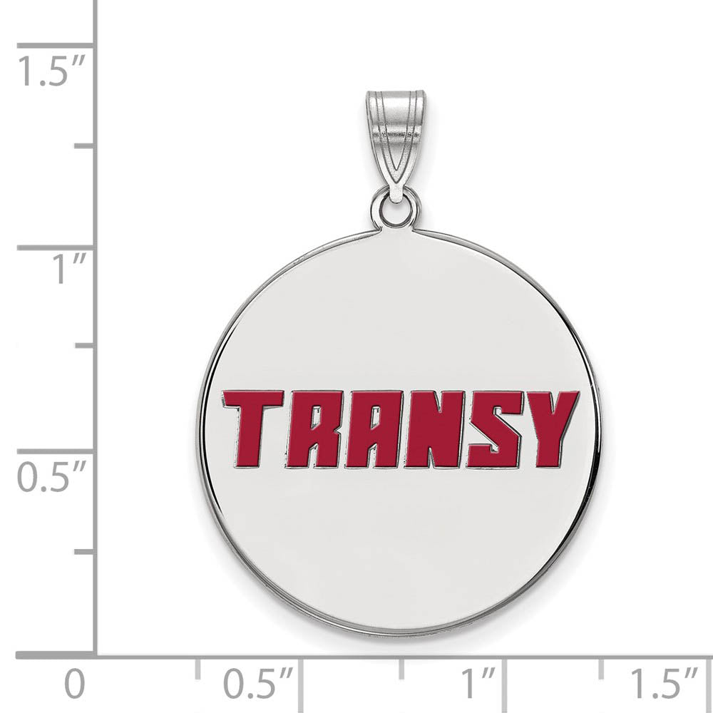 Alternate view of the Sterling Silver Transylvania U. XL Enamel Disc Pendant by The Black Bow Jewelry Co.