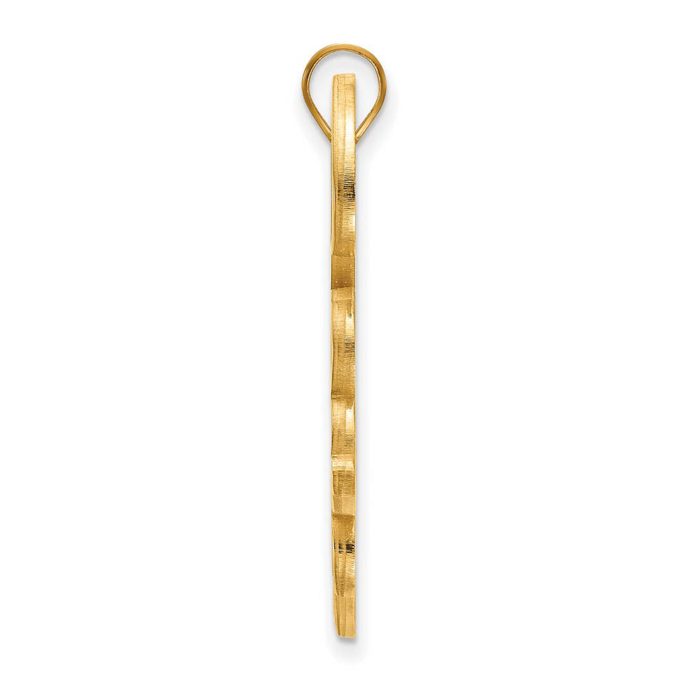 Alternate view of the 14k Yellow Gold Tulane U. XL Pendant by The Black Bow Jewelry Co.