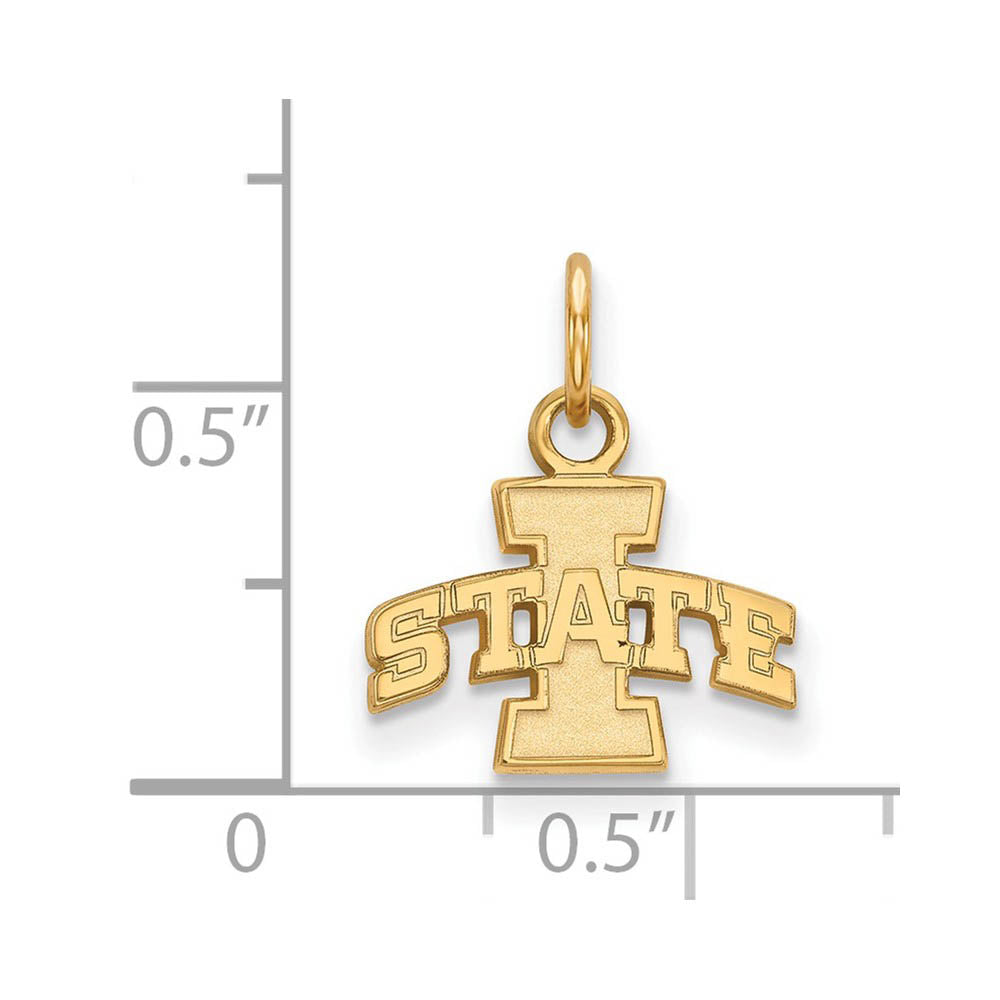 Alternate view of the 14k Yellow Gold Iowa State XS (Tiny) Charm or Pendant by The Black Bow Jewelry Co.