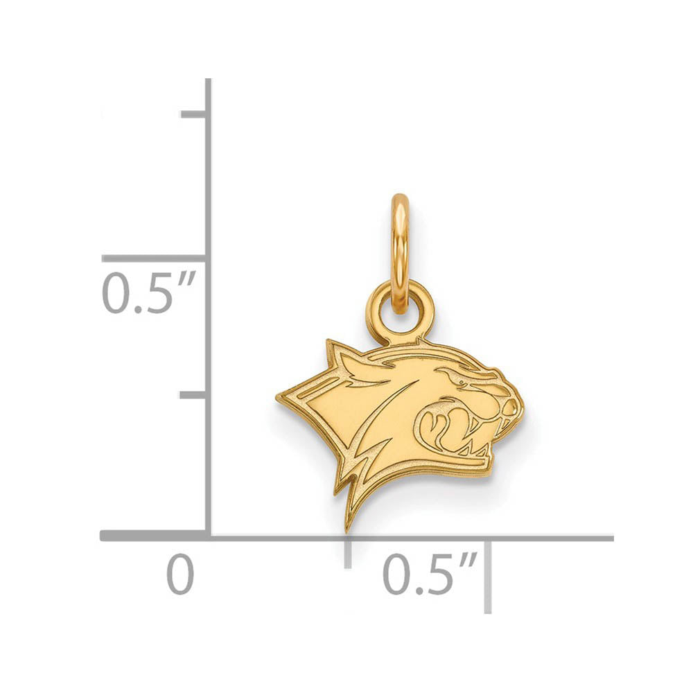 Alternate view of the 14k Yellow Gold U. of New Hampshire XS (Tiny) Charm or Pendant by The Black Bow Jewelry Co.