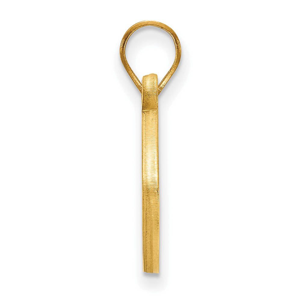 Alternate view of the 14k Gold Plated Silver U. of Pittsburgh Football Pendant by The Black Bow Jewelry Co.