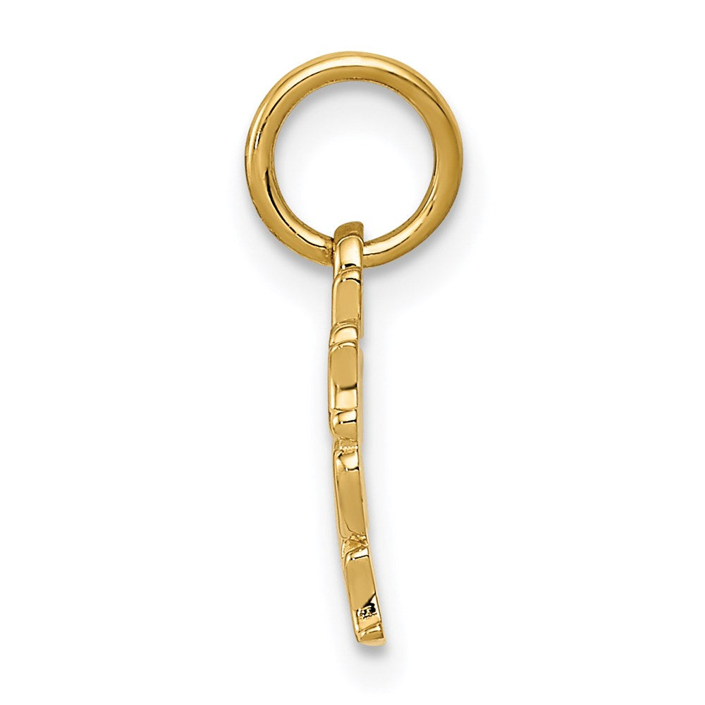 Alternate view of the 14k Yellow Gold Together Forever Charm or Pendant, 18mm by The Black Bow Jewelry Co.