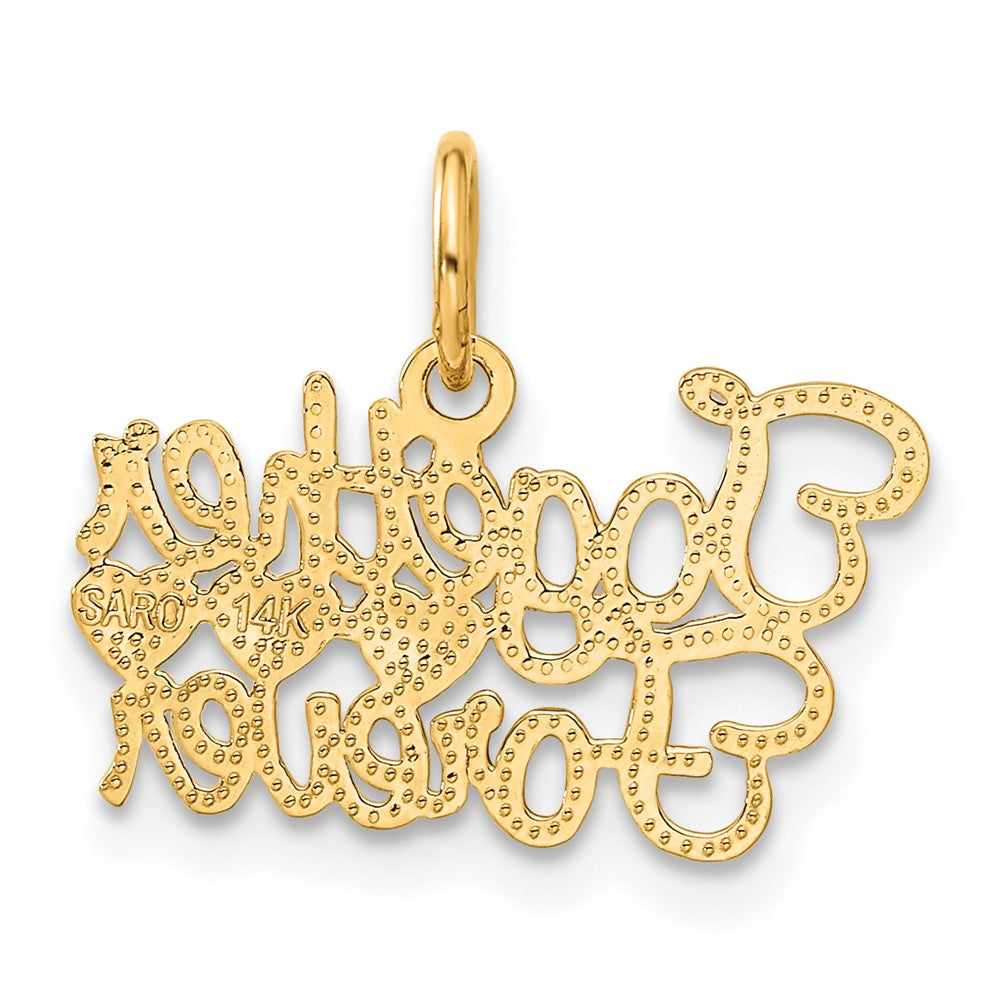 Alternate view of the 14k Yellow Gold Together Forever Charm or Pendant, 18mm by The Black Bow Jewelry Co.