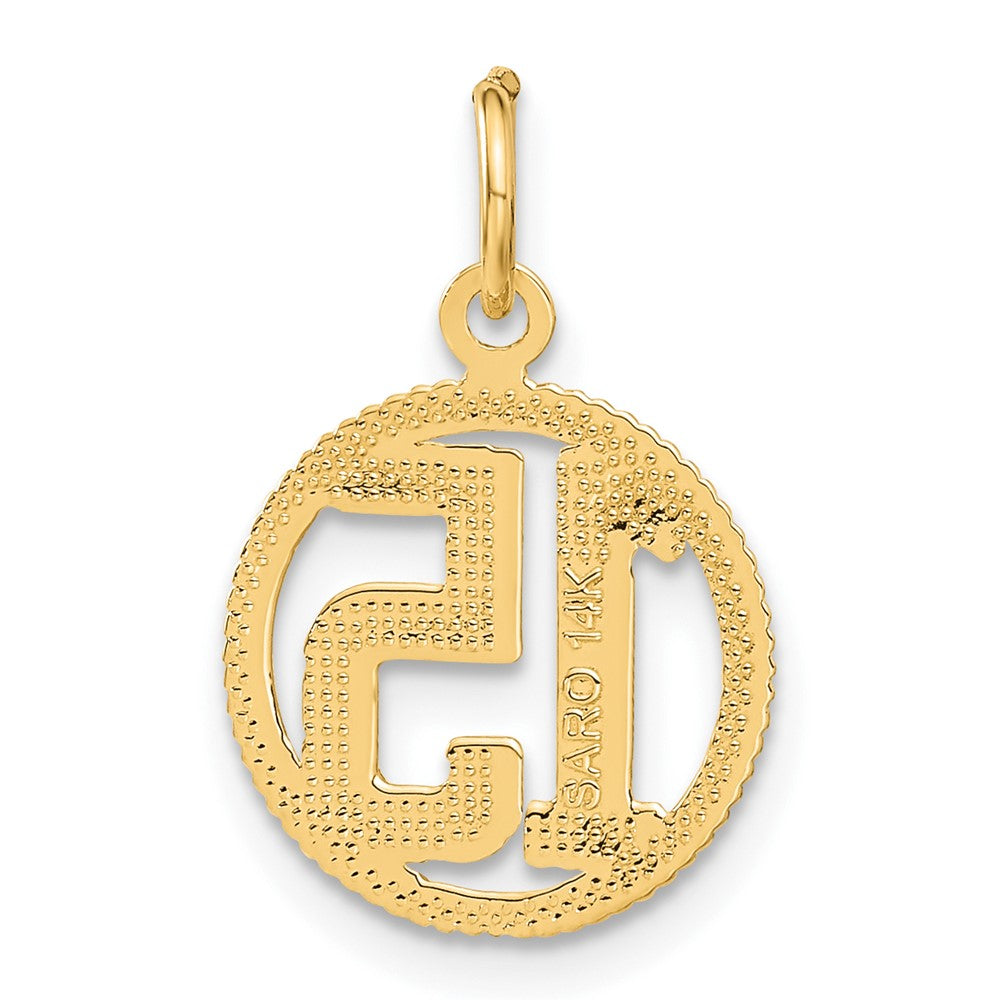 Alternate view of the 14k Yellow Gold 15 Circle Charm or Pendant, 12mm by The Black Bow Jewelry Co.