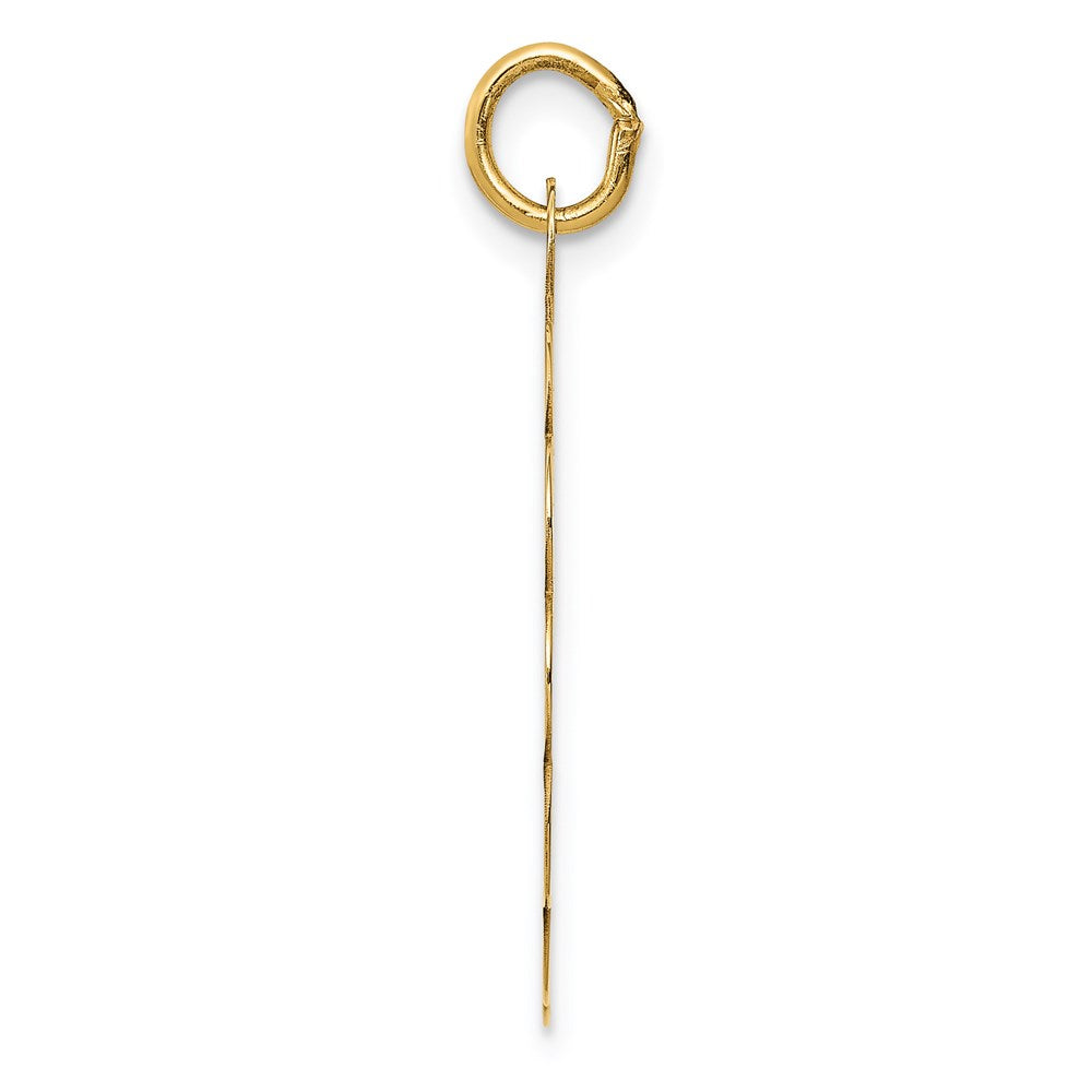 Alternate view of the 14k Yellow Gold Happy Birthday Disc Charm or Pendant, 22mm by The Black Bow Jewelry Co.