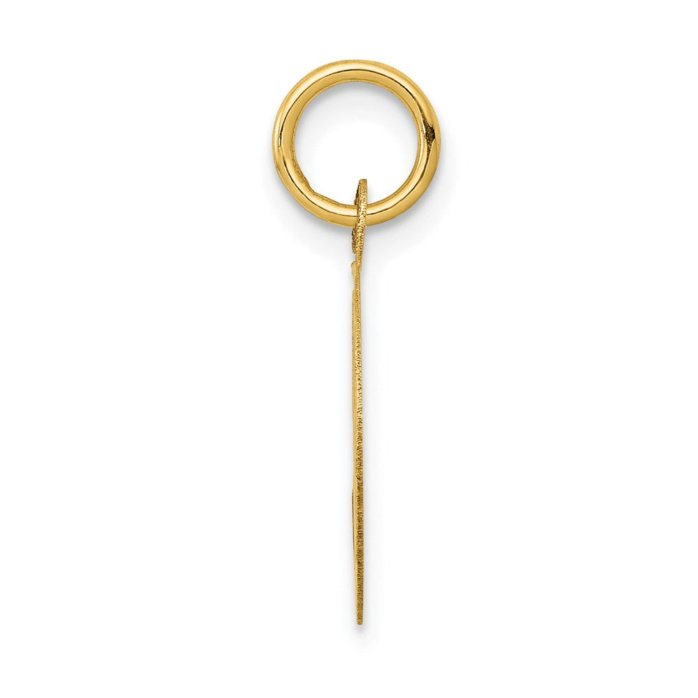 Alternate view of the 14k Yellow Gold Script Happy Birthday Disc Charm or Pendant, 13mm by The Black Bow Jewelry Co.