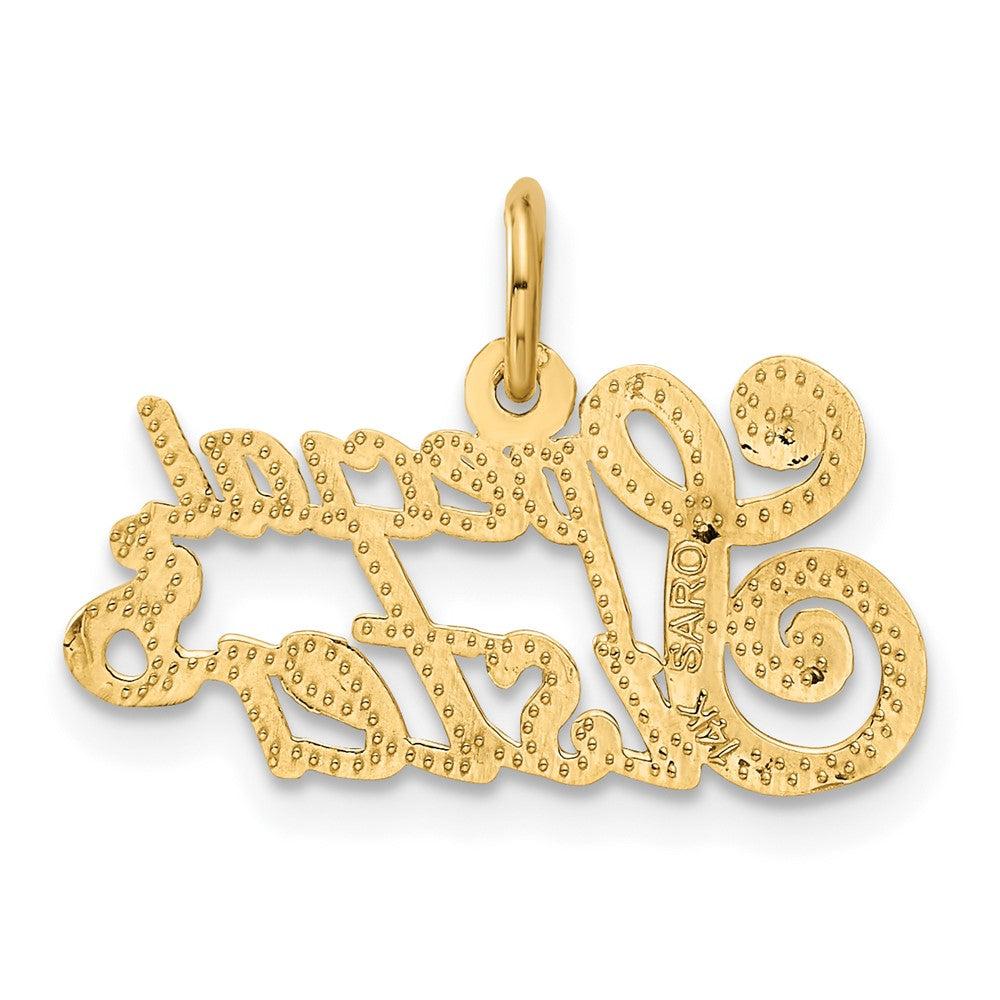 Alternate view of the 14k Yellow Gold Special Sister Charm or Pendant, 21mm by The Black Bow Jewelry Co.