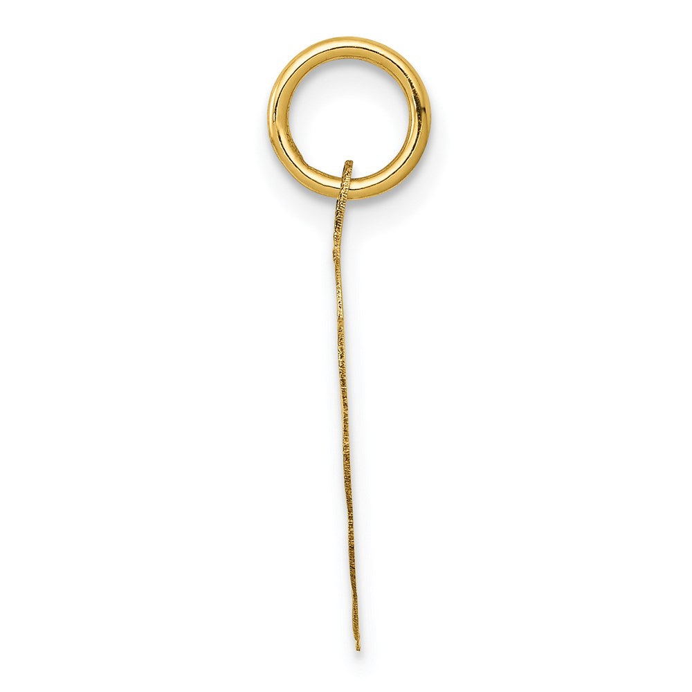 Alternate view of the 14k Yellow Gold Special Aunt Disc Charm or Pendant, 16mm by The Black Bow Jewelry Co.