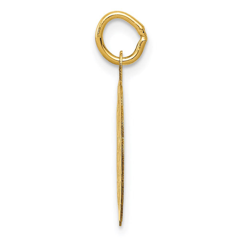 Alternate view of the 14k Yellow Gold Special Sister Disc Charm or Pendant, 15mm by The Black Bow Jewelry Co.