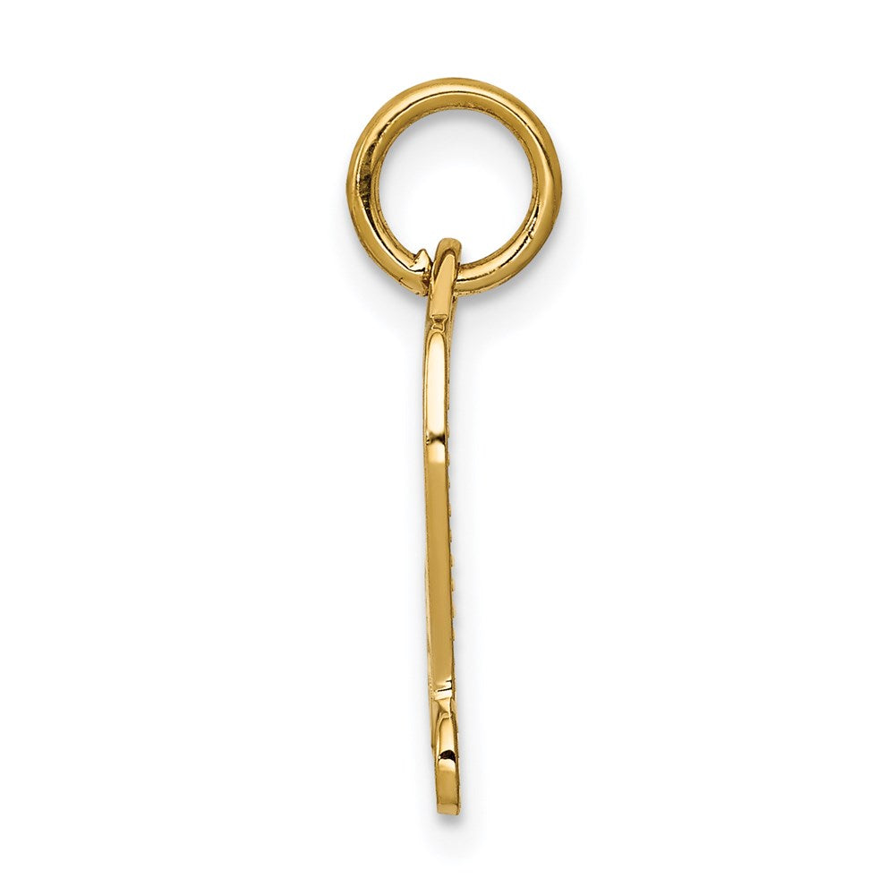 Alternate view of the 14k Yellow Gold Engravable Diploma Charm or Pendant, 12mm by The Black Bow Jewelry Co.