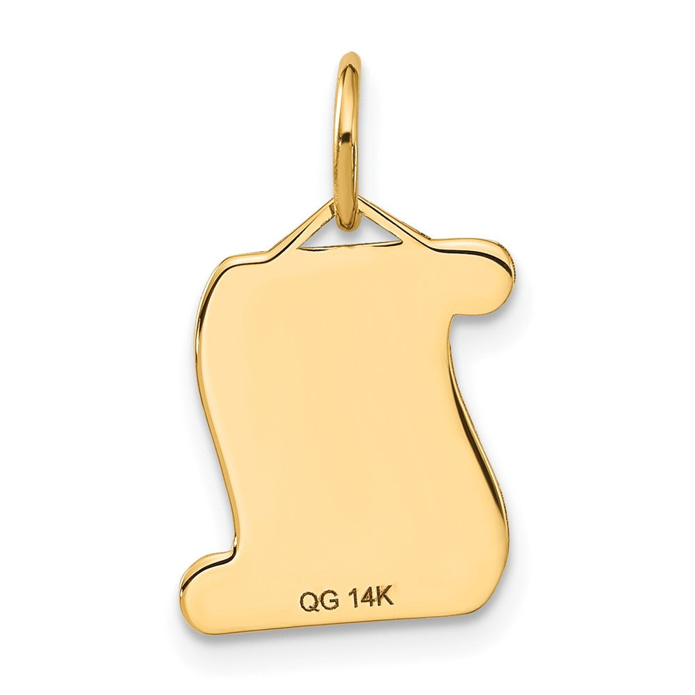 Alternate view of the 14k Yellow Gold Engravable Diploma Charm or Pendant, 12mm by The Black Bow Jewelry Co.