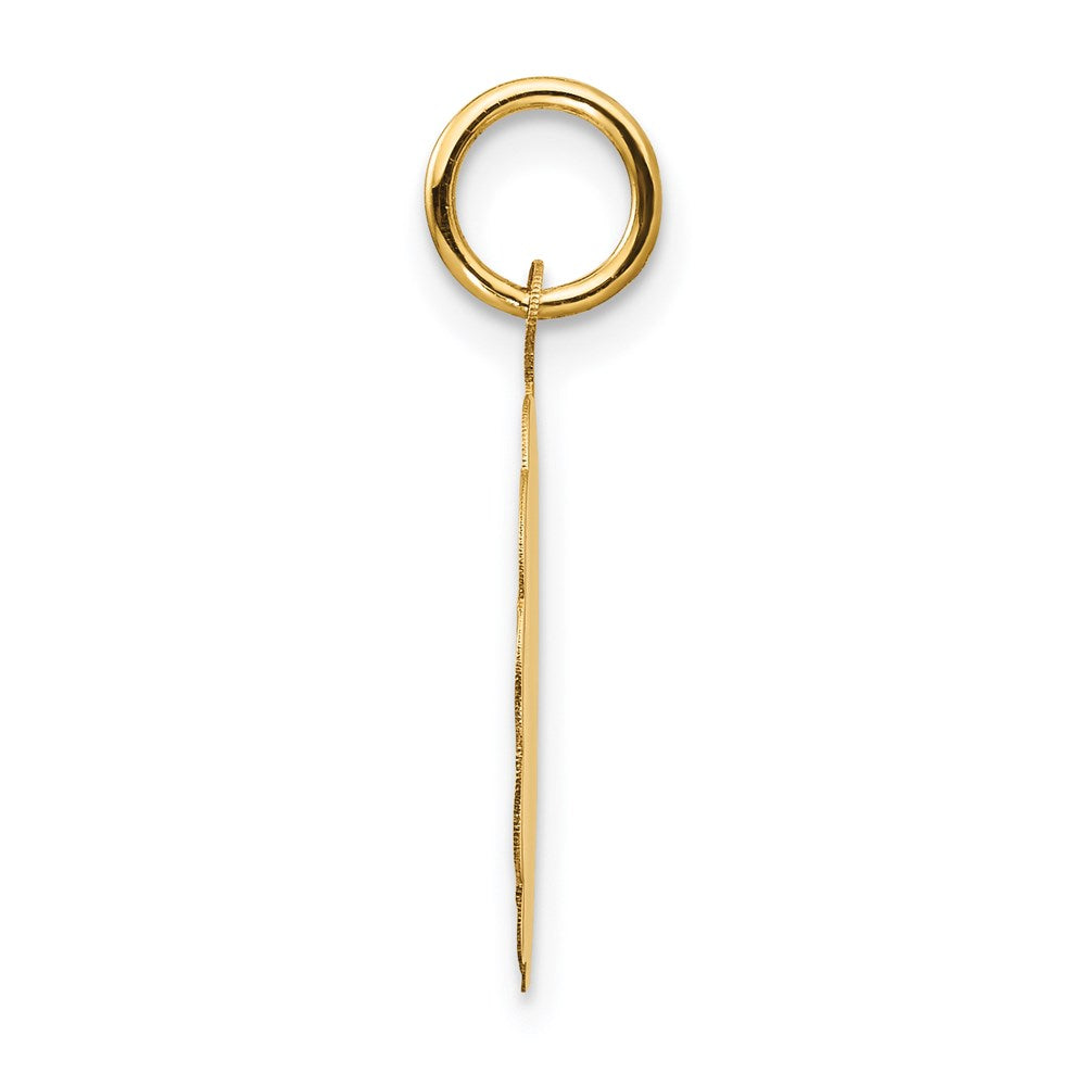 Alternate view of the 14k Yellow Gold Graduation Day Brocaded Disc Charm or Pendant, 16mm by The Black Bow Jewelry Co.