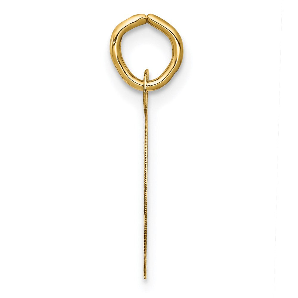 Alternate view of the 14k Yellow Gold Graduation Cap Brocaded Disc Charm or Pendant, 14mm by The Black Bow Jewelry Co.