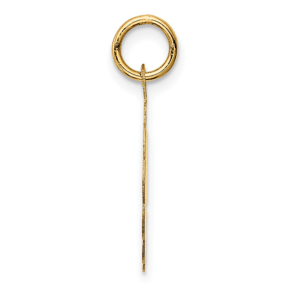 Alternate view of the 14k Yellow Gold Brocaded Disc  Graduation Day Charm or Pendant, 16mm by The Black Bow Jewelry Co.