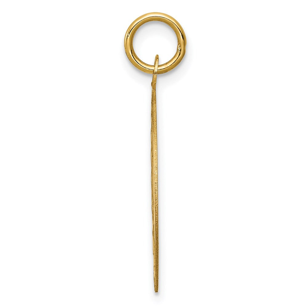 Alternate view of the 14k Yellow Gold Happy Graduation Day Circle Charm or Pendant, 20mm by The Black Bow Jewelry Co.