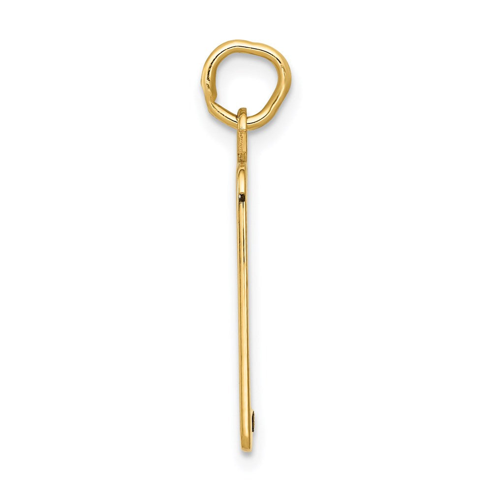 Alternate view of the 14k Yellow Gold & Pink Enamel Birth Certificate Charm or Pendant, 18mm by The Black Bow Jewelry Co.