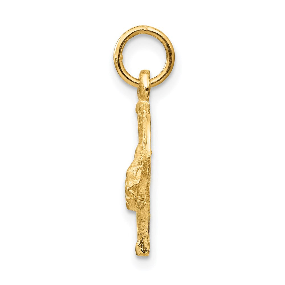 Alternate view of the 14k Yellow Gold Horse Head and Horseshoe Charm or Pendant, 13mm by The Black Bow Jewelry Co.