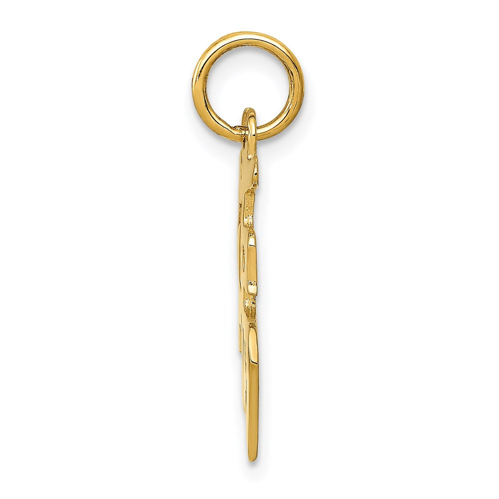Alternate view of the 14k Yellow Gold Polished Chinese Good Luck Symbol Pendant, 14mm by The Black Bow Jewelry Co.