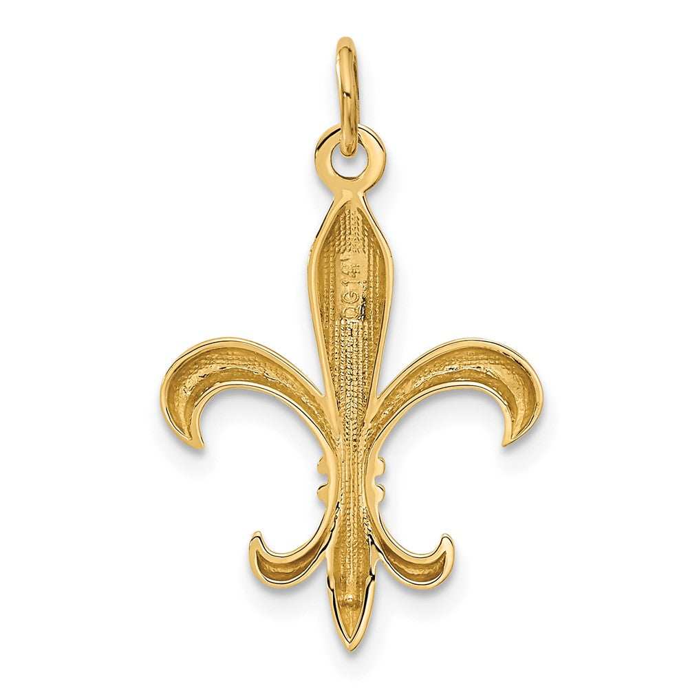 Alternate view of the 14k White or Yellow Gold 2D Fleur De Lis Pendant, 18mm (11/16 inch) by The Black Bow Jewelry Co.