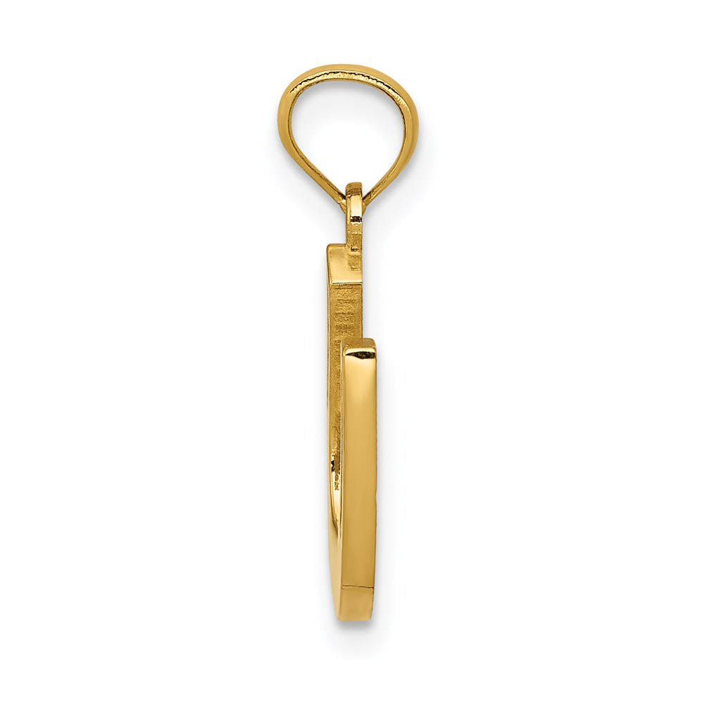 Alternate view of the 14k Yellow Gold Reversible Horseshoe Pendant, 13 x 20mm by The Black Bow Jewelry Co.