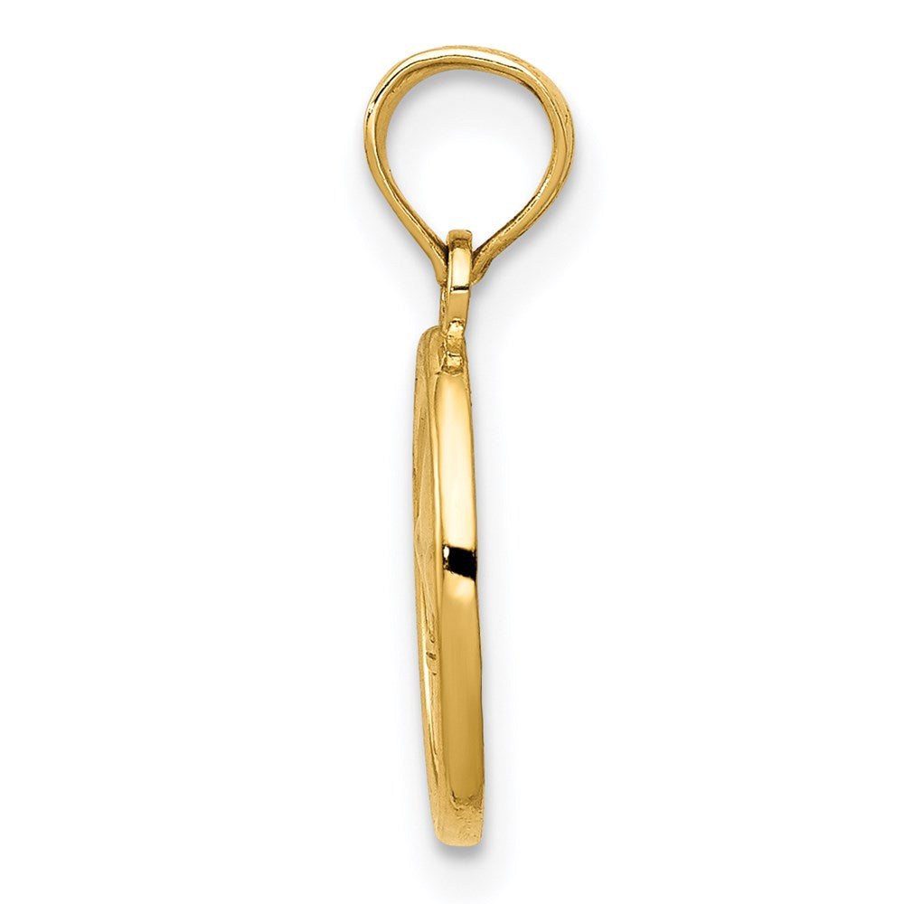 Alternate view of the 14k Yellow Gold Small Fleur De Lis Oval Disc Pendant, 9 x 17mm by The Black Bow Jewelry Co.