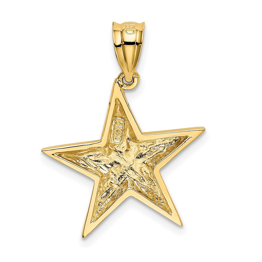 Alternate view of the 14k Yellow Gold Polished Nautical Star Pendant, 20mm (3/4 inch) by The Black Bow Jewelry Co.