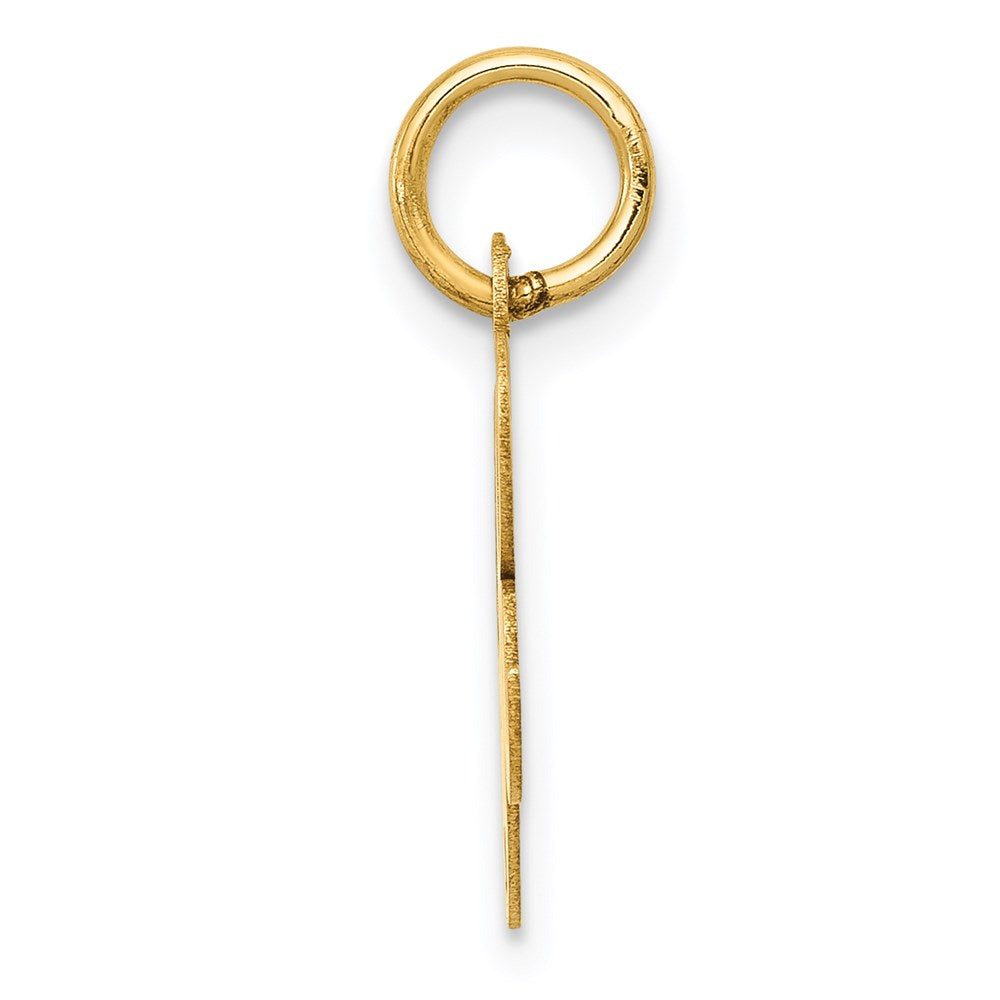 Alternate view of the 14k Yellow Gold, Ella Collection, Small Fancy Script Initial R Pendant by The Black Bow Jewelry Co.