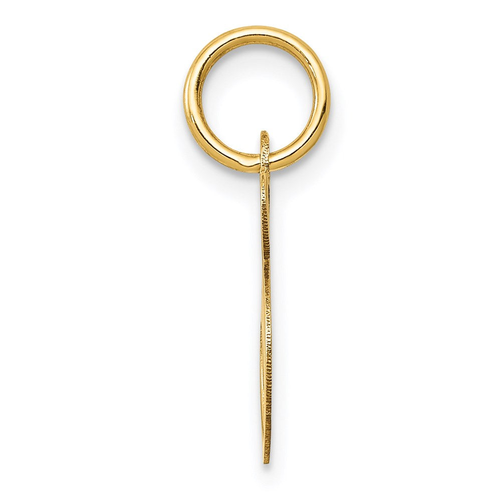 Alternate view of the 14k Yellow Gold, Ella Collection, Small Fancy Script Initial S Pendant by The Black Bow Jewelry Co.