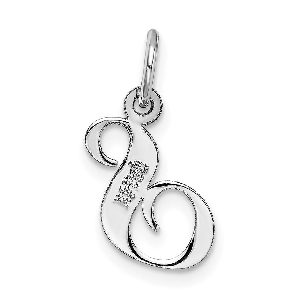 Alternate view of the 14k White Gold, Ella Collection, Small Fancy Script Initial S Pendant by The Black Bow Jewelry Co.
