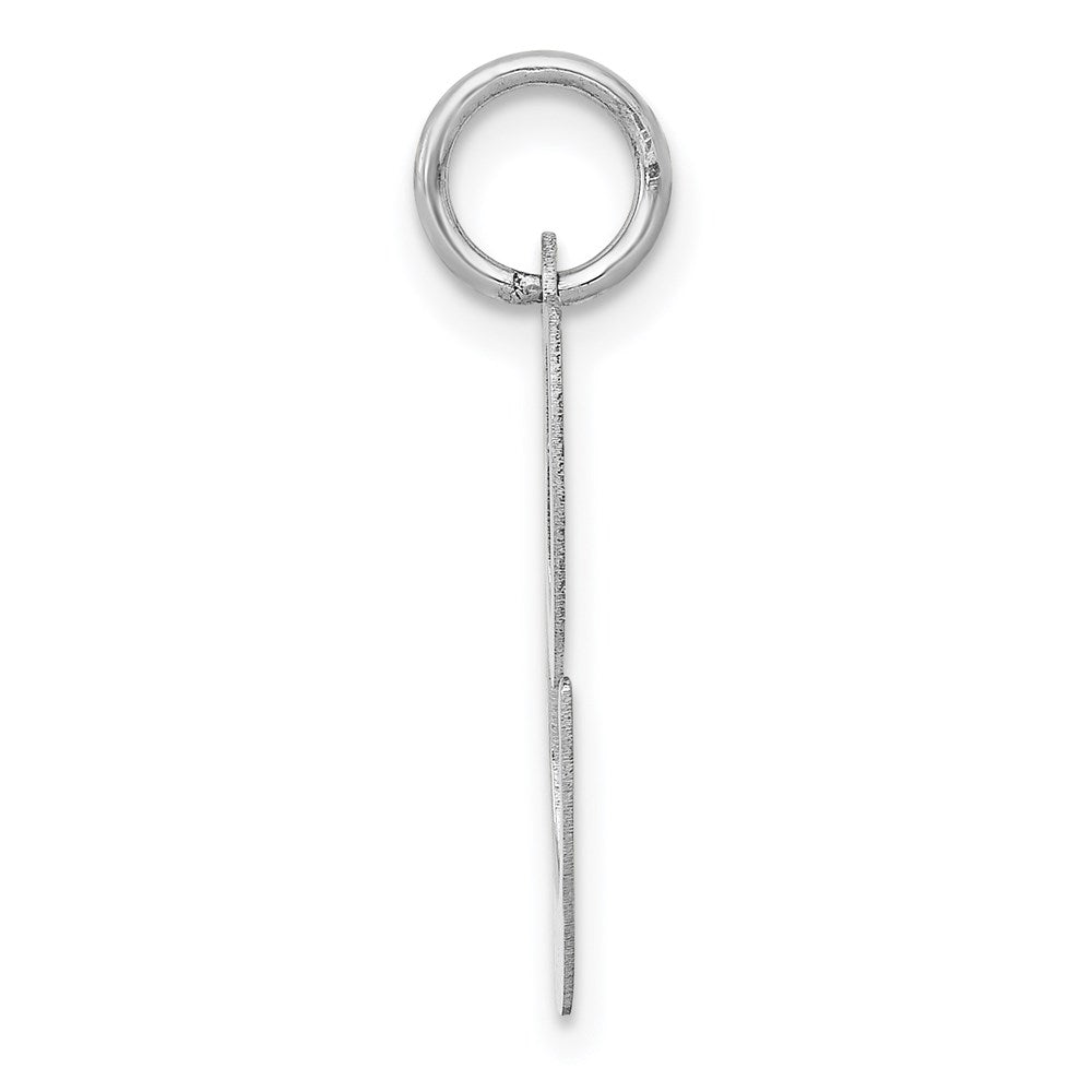 Alternate view of the 14k White Gold, Ella Collection, LG Fancy Script Initial C Pendant by The Black Bow Jewelry Co.