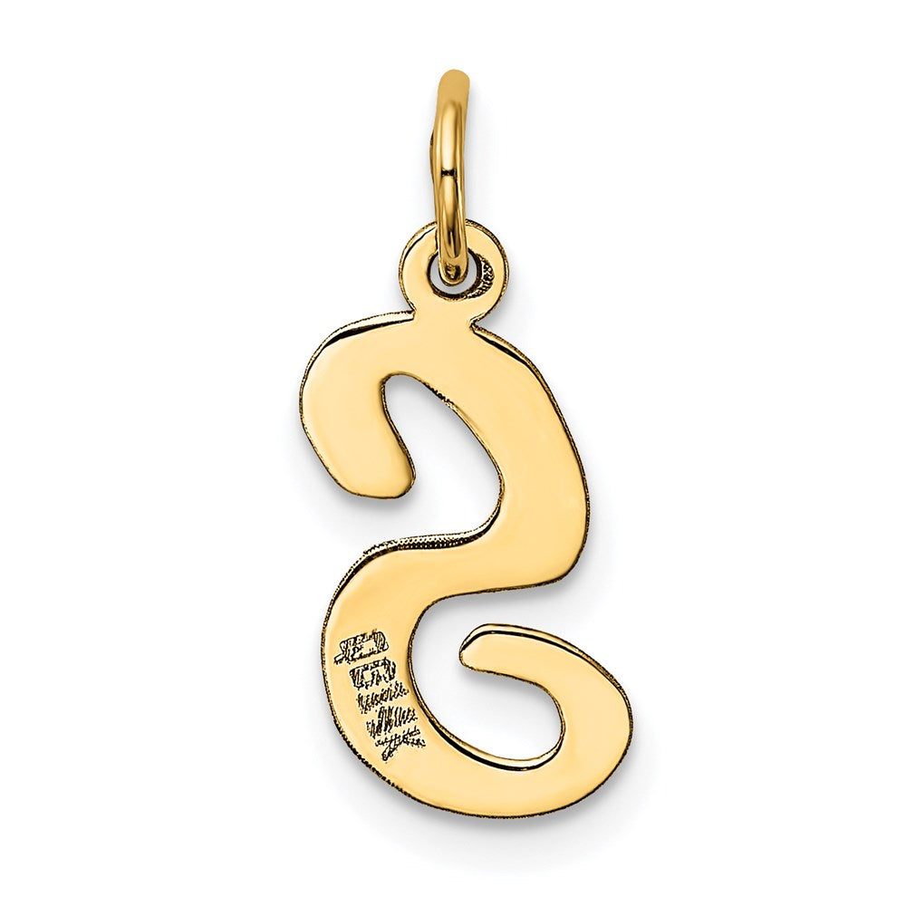 Alternate view of the 14k Yellow Gold, Madison Collection, Medium Script Initial S Pendant by The Black Bow Jewelry Co.