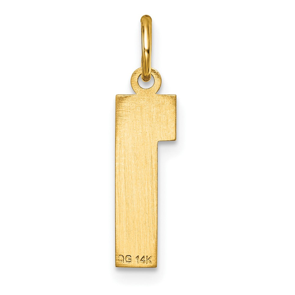 Alternate view of the 14K Yellow Gold, Varsity Collection, Medium D/C Pendant Number 1 by The Black Bow Jewelry Co.